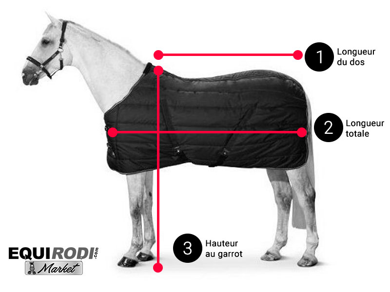 Guide des tailles chemises pour chevaux et poneys