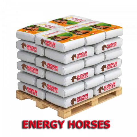 Guidolin Energy Horses palette 48 sacs