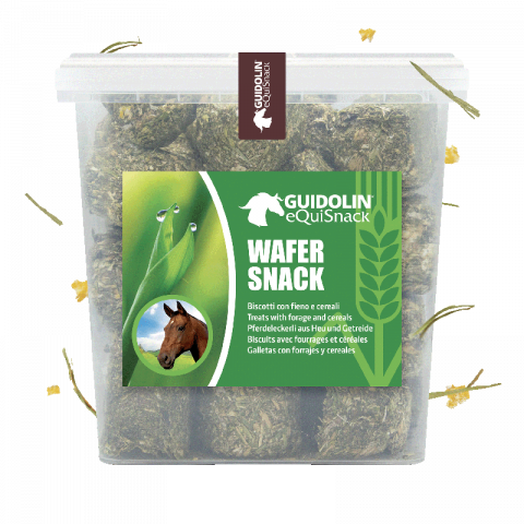 Equisnack - Wafer Snack 2,5kg - Guidolin