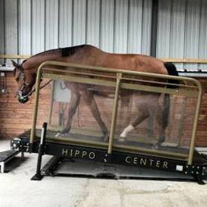 Tapis roulant pour l'entraînement de chevaux