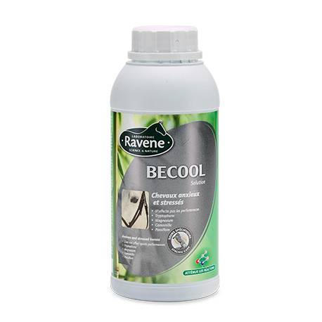 Ravene Becool 500 ml - Cheval anxieux / stressé