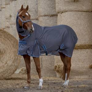 Chemise EQUITHEME Cool Dry Combo