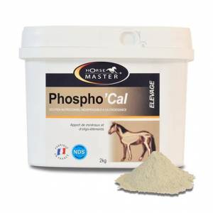 PHOSPHO'CAL - Favorise la minéralisation osseuse du poulain
