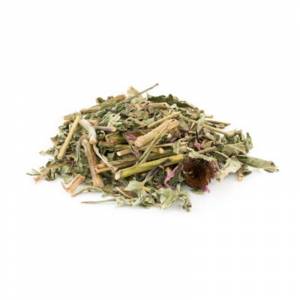 Echinacée feuilles 1kg - Horse Remedy