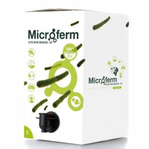 Microferm - micro-organismes