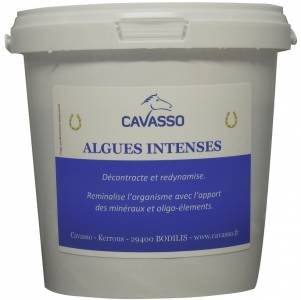 Algues intenses Premium - Cavasso