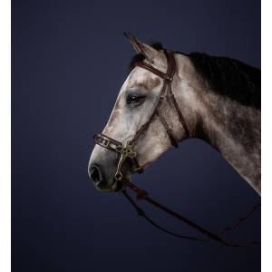 Bridon pour hackamore New English Collection - Dy'on