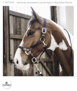 Kentucky Horsewear Licol en Nylon Tressé FULL + longe