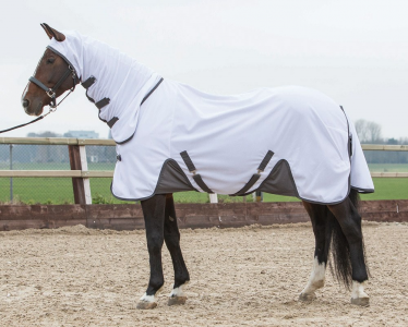 Chemise anti-mouches Harry's Horse
