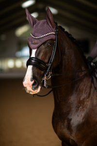 Bonnet anti-mouches Moonless Night - Equestrian Stockholm