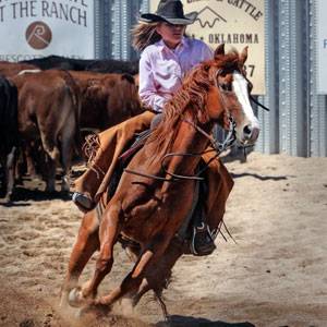 Equipements pour l'équitation western